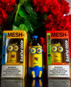 mesh q minion pod