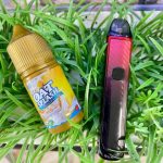 Guard Pod Kit yogi vape