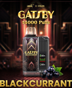 Pod GATSBY 14000 puff